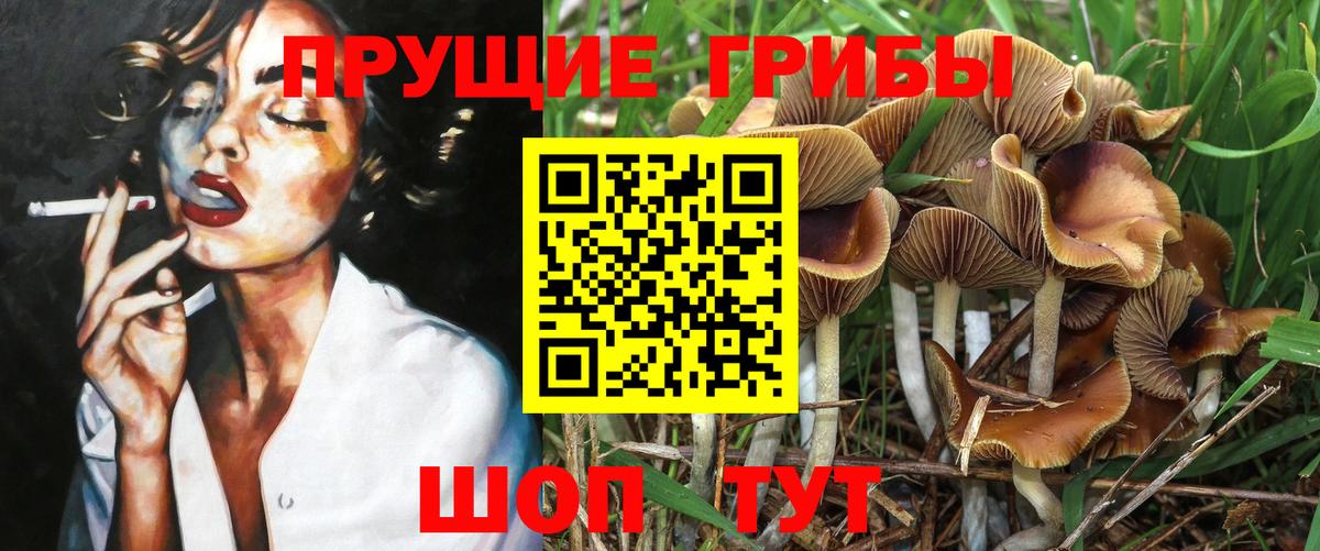 Галлюциногенные грибы Magic Shrooms  Вход с VPN  Курчатов 