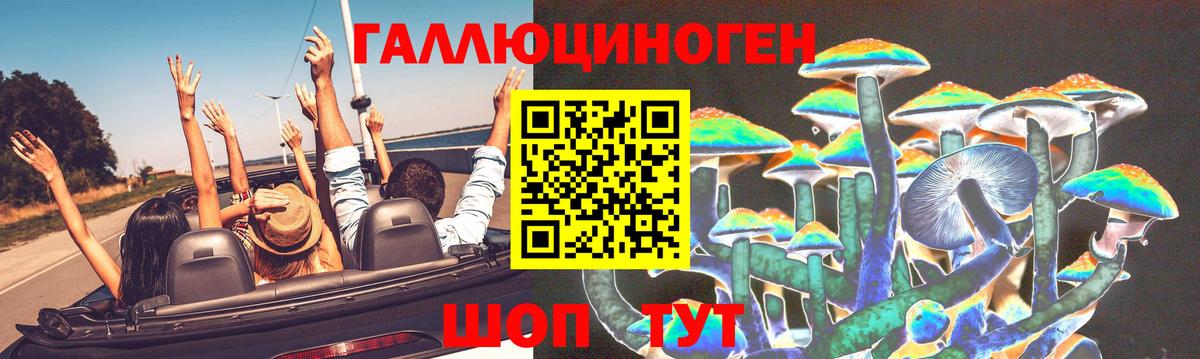 Псилоцибиновые грибы GOLDEN TEACHER Курчатов
